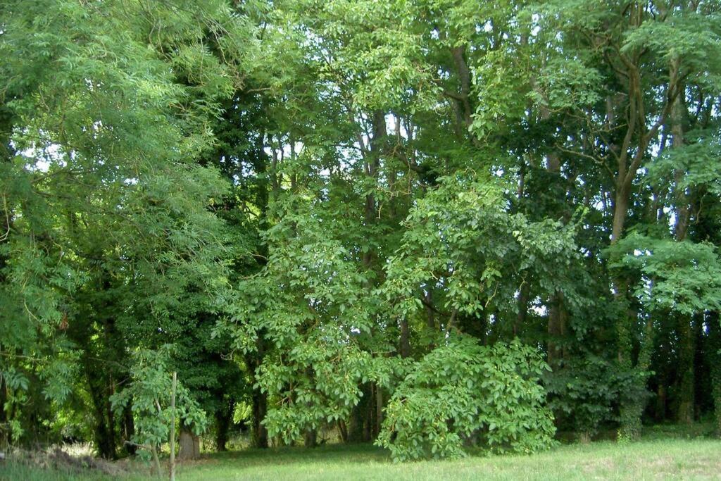 Appartamento Aux Nobles Acacias Épagne-Épagnette Esterno foto